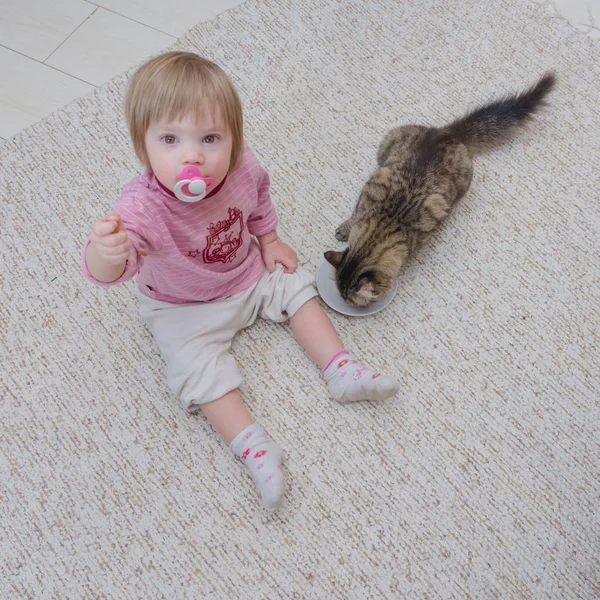 Di samping kucing di lantai duduk seorang anak, gadis itu ingin biaya — Stok Foto