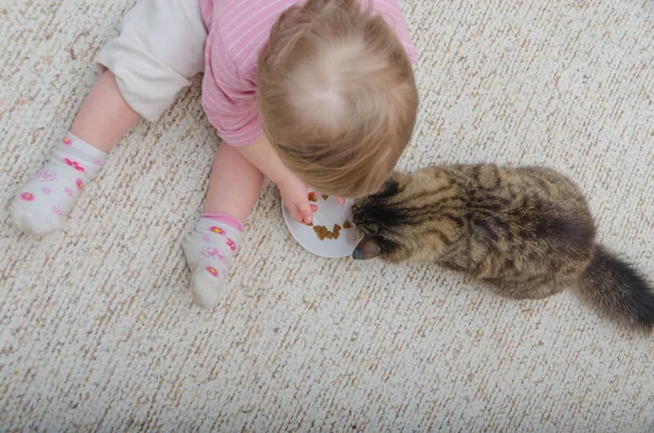 Bir çocuk, ücret kız istiyor kedi yerde yanında oturur — Stok fotoğraf