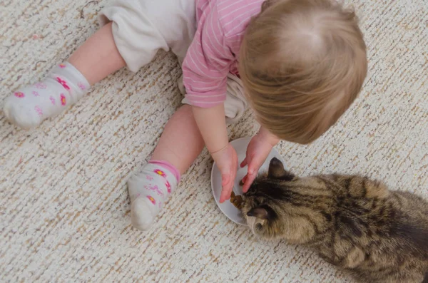 À côté du chat sur le sol se trouve un enfant, la fille veut payer — Photo