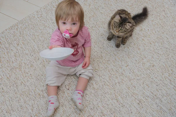 Bir çocuk, ücret kız istiyor kedi yerde yanında oturur — Stok fotoğraf
