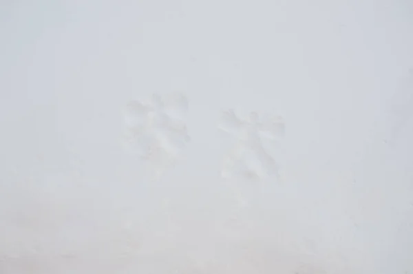 Un enfant a poussé deux anges dans la neige — Photo