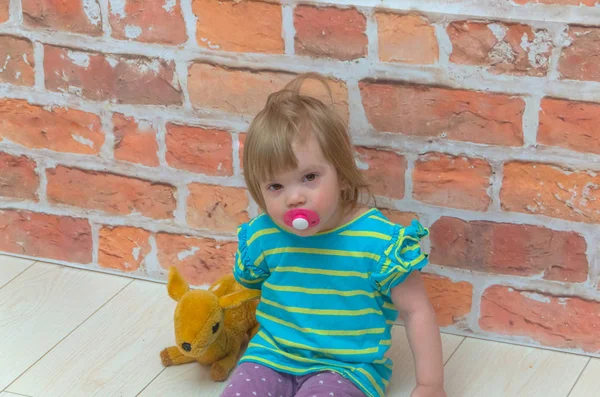 Uma menina, uma criança com uma chupeta e veados em mãos no fundo — Fotografia de Stock