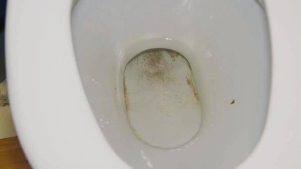 Das Geld, um mit einem Wasserstrahl in einer schmutzigen Toilette zu spülen — Stockvideo