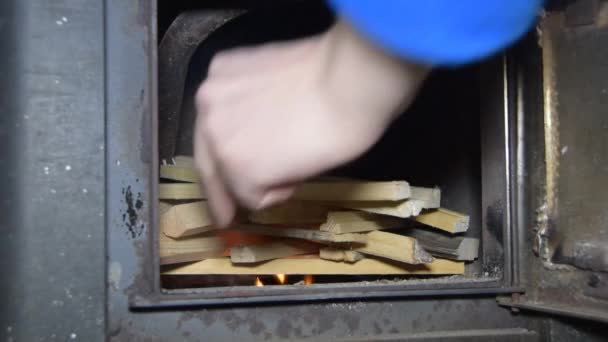 El dinero arde brillantemente en el horno — Vídeos de Stock
