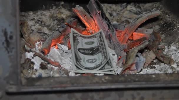 Гроші в духовці згоряють на землю — стокове відео