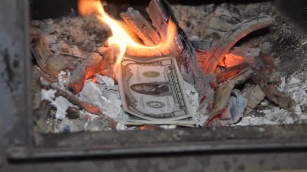 El dinero en el horno arde hasta los cimientos — Vídeos de Stock