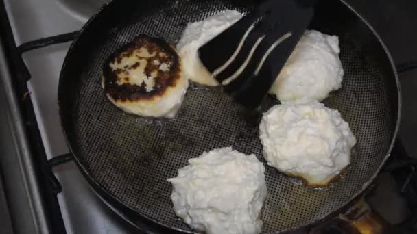 The fry the cheesecakes in oil in a pan — Stockvideo