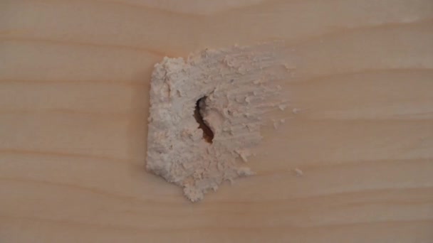 The worker puts putty on a hole in a wooden wall — Stock Video