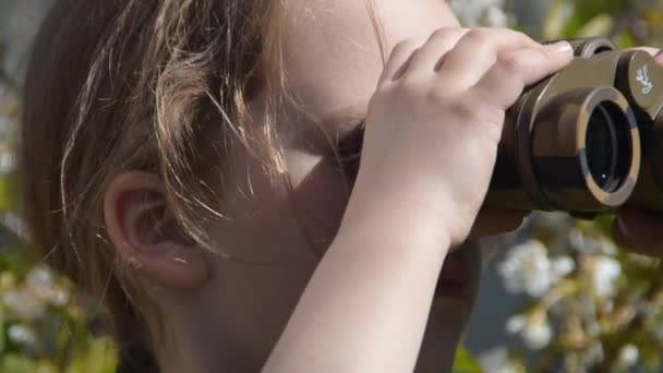 Una niña mira a través de prismáticos de cerca — Vídeos de Stock