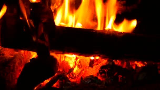 O fogo está queimando em um fogão a lenha rústico. Chama aquece a fazenda rural — Vídeo de Stock