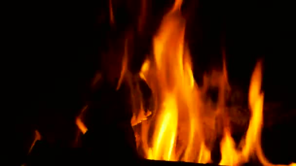 Fire is burning in a rustic wood stove. Flame heats the rural farmhouse — Stock Video