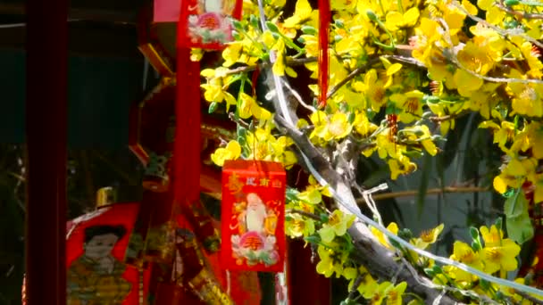 Rood Chinees Nieuwjaar decoraties - papieren lantaarns met schilderijen en kaarten. Symbolen van geluk en bescherming. Cambodja. — Stockvideo