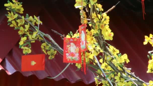 Rood Chinees Nieuwjaar decoraties - papieren kaarten met schilderijen. Symbolen van geluk en bescherming. Cambodja. — Stockvideo