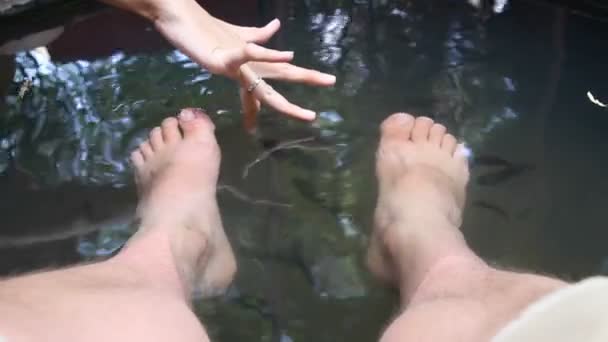 Aziatische traditionele fish spa. Duizenden Garra rufa afkorting arts vis schoonmaken een zwemmers voeten. Originele huidverzorging. Cambodja. — Stockvideo