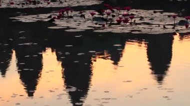 Sunrise Angkor Wat, Kamboçya ve dünyanın en büyük dini anıt karmaşık bir tapınak. Nilüferler gölet yansıması. UNESCO Dünya Miras Listesi.