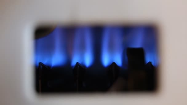 Blue flames of a gas inside of a boiler — Stock Footage Blue flames of a gas inside of a boiler Royalty Free Stock Video