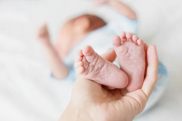 Mamma håller nyfödd bebis bare klackar. Små fötter i kvinnans hand. Mysig morgon hemma. — Stockfoto
