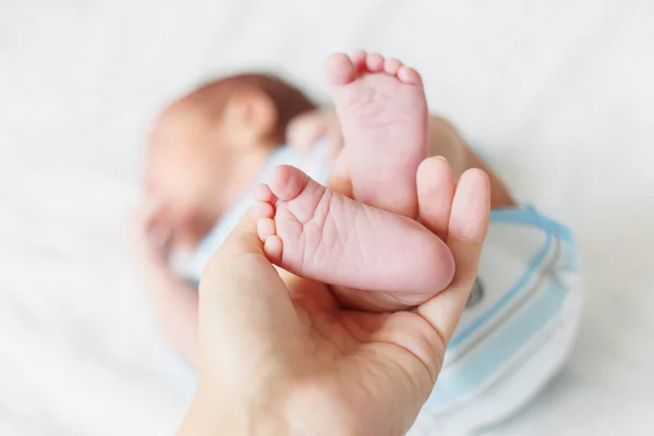 Mamma håller nyfödd bebis bare klackar. Små fötter i kvinnans hand. Mysig morgon hemma. — Stockfoto