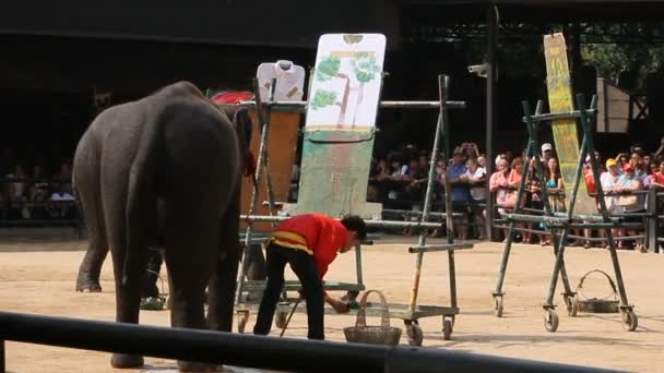 Pattaya, thailand - 30. januar 2011. Elefantenshow in nong nooch tropical gargen. Elefant in dekorativer Uniform zeichnet ein Bild mit Pinsel. — Stockvideo