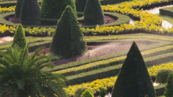自動芝生の散水装置。景色の設計の装飾的な庭園があります。パタヤ、タイのノンヌッチ熱帯植物園. — ストック動画