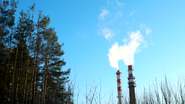 Kesselhausschornstein. Dampf gegen den strahlend blauen Himmel. Industriegebiet der Stadt. — Stockvideo