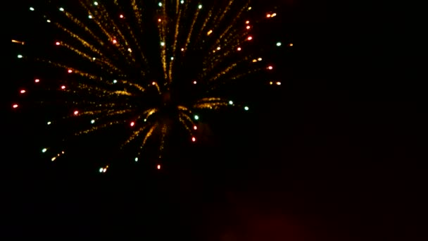 Fuochi d'artificio colorati nel cielo notturno buio . — Video Stock