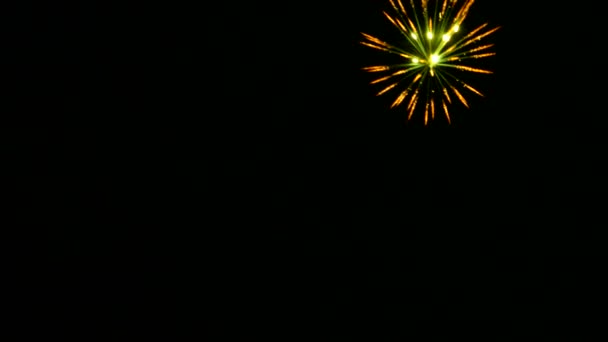 Colorful fireworks in dark night sky. — Stock Video