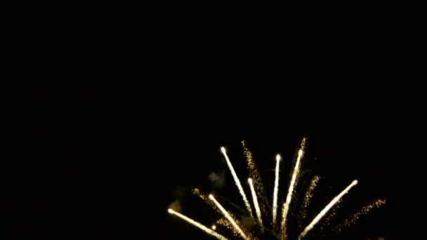 Colorful fireworks in dark night sky. — Stock Video