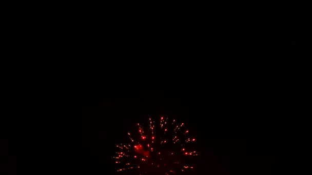 Fuochi d'artificio colorati nel cielo notturno buio . — Video Stock