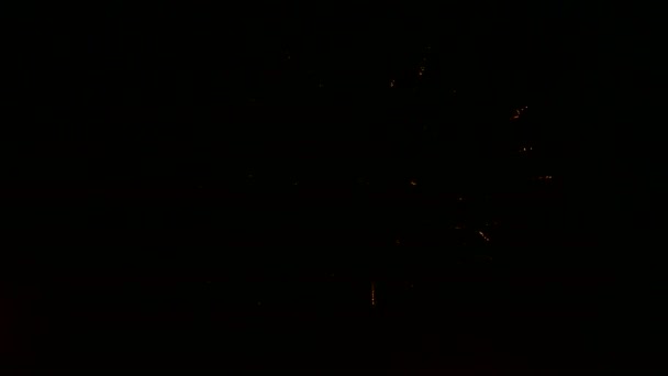 Kleurrijke vuurwerk in de donkere nachtelijke hemel. — Stockvideo
