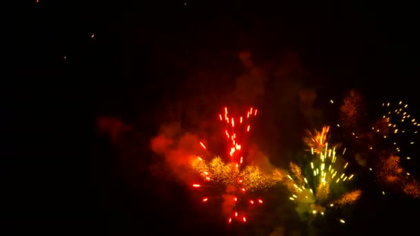 Fuochi d'artificio colorati nel cielo notturno buio . — Video Stock