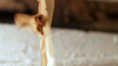 Güve yapışkan bandı sıkışmış. Teyp uzak sızmak isteyen kanat kanatlar kelebek.