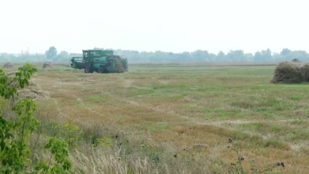 Natuurlijke herfst plattelandsachtergrond - het combineren van graan plukt een uitsnede uit een veld. Combineren harvester is het oogsten van tarwe met stro van de stof in de lucht. Rusland. — Stockvideo