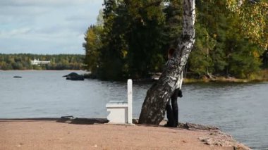 Turist huş ağacı ve Bahçe tezgah kalır. Sonbahar güneşli günü Mon Repos Park, Vyborg, Rusya Federasyonu.