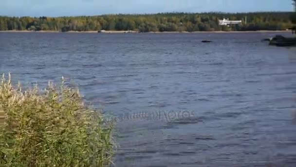 Vue sur la baie de Vyborg. Foin ensoleillé d'automne dans le parc Mon Repos, Vyborg, Russie .