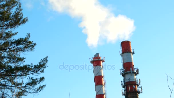 锅炉烟囱的房子。蒸汽在湛蓝的天空。市工业园区. — 图库视频影像