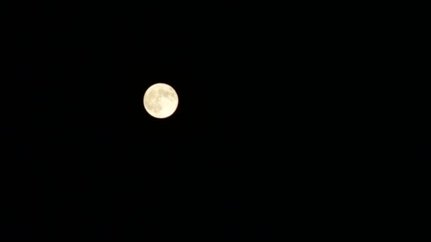 De maan maakt zijn weg op de donkere nachtelijke hemel. Lichte volledige planeet-satelliet van de aarde. — Stockvideo