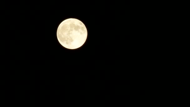 La Lune se fraye un chemin dans le ciel nocturne sombre. Pleine planète-satellite lumineux de la Terre . — Video