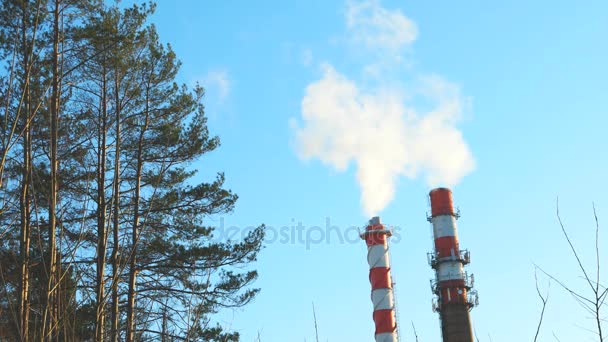 Chaminé da casa da caldeira. Vapor contra o céu azul claro. Zona industrial da cidade . — Vídeo de Stock