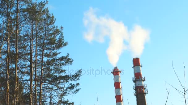 Boiler house chimney. Steam against the clear blue sky. Industrial zone of the city. — Stock Video