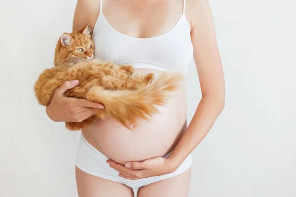 Femme enceinte en sous-vêtements blancs avec chat roux mignon. Une jeune femme attend un bébé. Risque d'infection toxoplasmose . — Photo