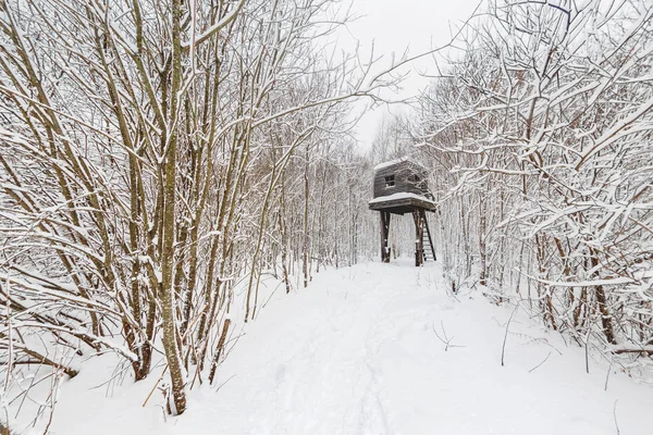 NIKOLA-LENIVETS, RÚSSIA - 15 de janeiro de 2017. Artobject "Casa acima da floresta". Casa de madeira na floresta de inverno . — Fotografia de Stock