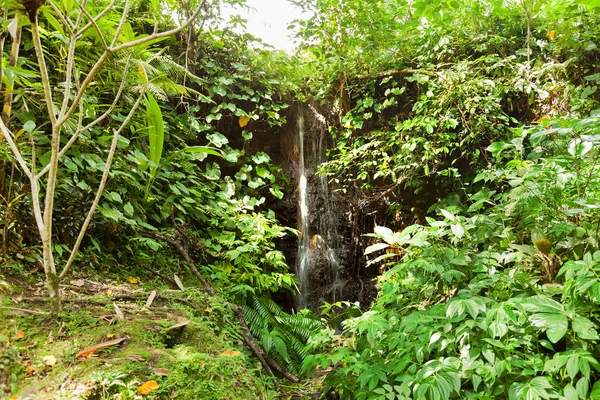 象の洞窟 (Goagajah 寺) にある滝。ウブド、バリ島、インドネシア. — ストック写真