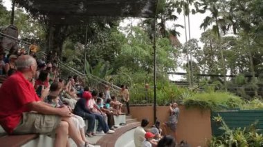 Kuala Lumpur, Malezya - 03 Şubat 2013. Kuş kuş Parkı Kuala Lumpur gösterisinde. Papağan farklı hileler göster.