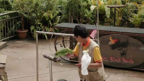 Kuala Lumpur, Maleisië - 03 februari 2013. Vogel Toon in vogelpark van Kuala Lumpur. Papegaaien tonen verschillende trucs. — Stockvideo