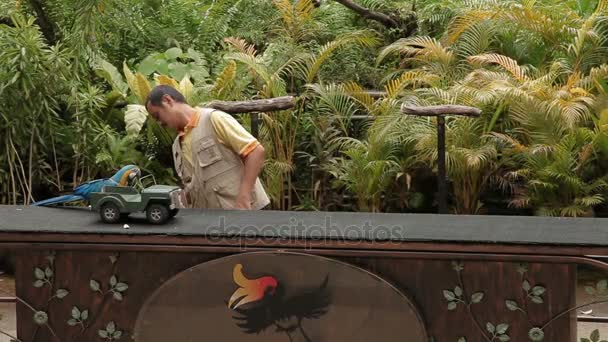 Κουάλα Λουμπούρ, Μαλαισία - 03 Φεβρουαρίου 2013. Παράσταση πουλιού σε Πάρκο Πτηνών Κουάλα Λουμπούρ. Διάφορα κόλπα επίδειξη παπαγάλων. — Αρχείο Βίντεο