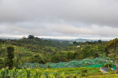 Panorama görünüm Batur volkan, Kintamani yakınındaki tarım alanları üzerinde. Kış sezon yağmurlu ve bulutlu. Bali, Endonezya.