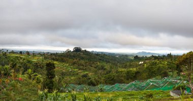Batur volkan, Kintamani yakınındaki tarım alanlarında büyük panorama görünüm. Kış sezon yağmurlu ve bulutlu. Bali, Endonezya.