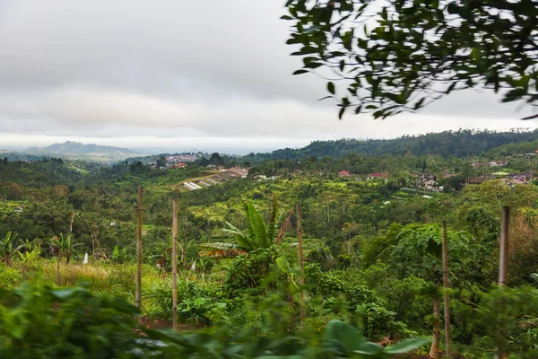 Панорама перегляд на сільськогосподарських полів Батура вулкана, Kintamani. Зимовий сезон дощовими та туманними. Балі, Індонезія. — стокове фото