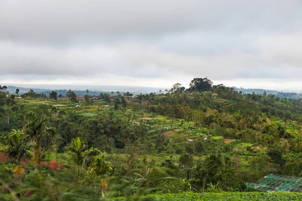 Pemandangan panorama di lahan pertanian dekat gunung berapi Batur, Kintamani. Musim hujan dan musim berawan. Bali, Indonesia . — Stok Foto